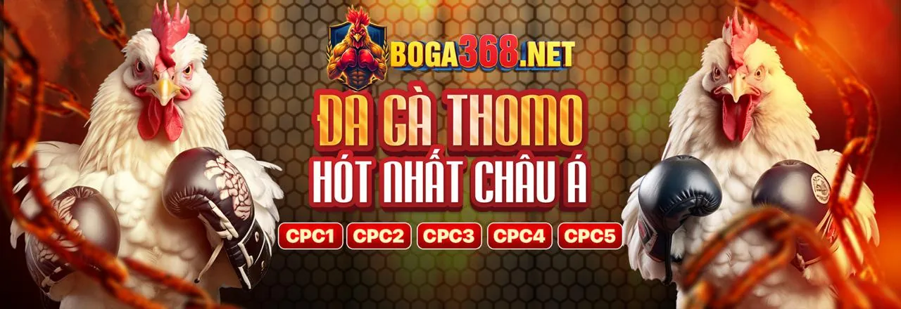 Hình ảnh tổng quan blog alo 789 vn